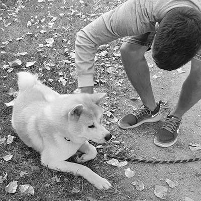 Educateur Canin Quesnoy sur Deûle